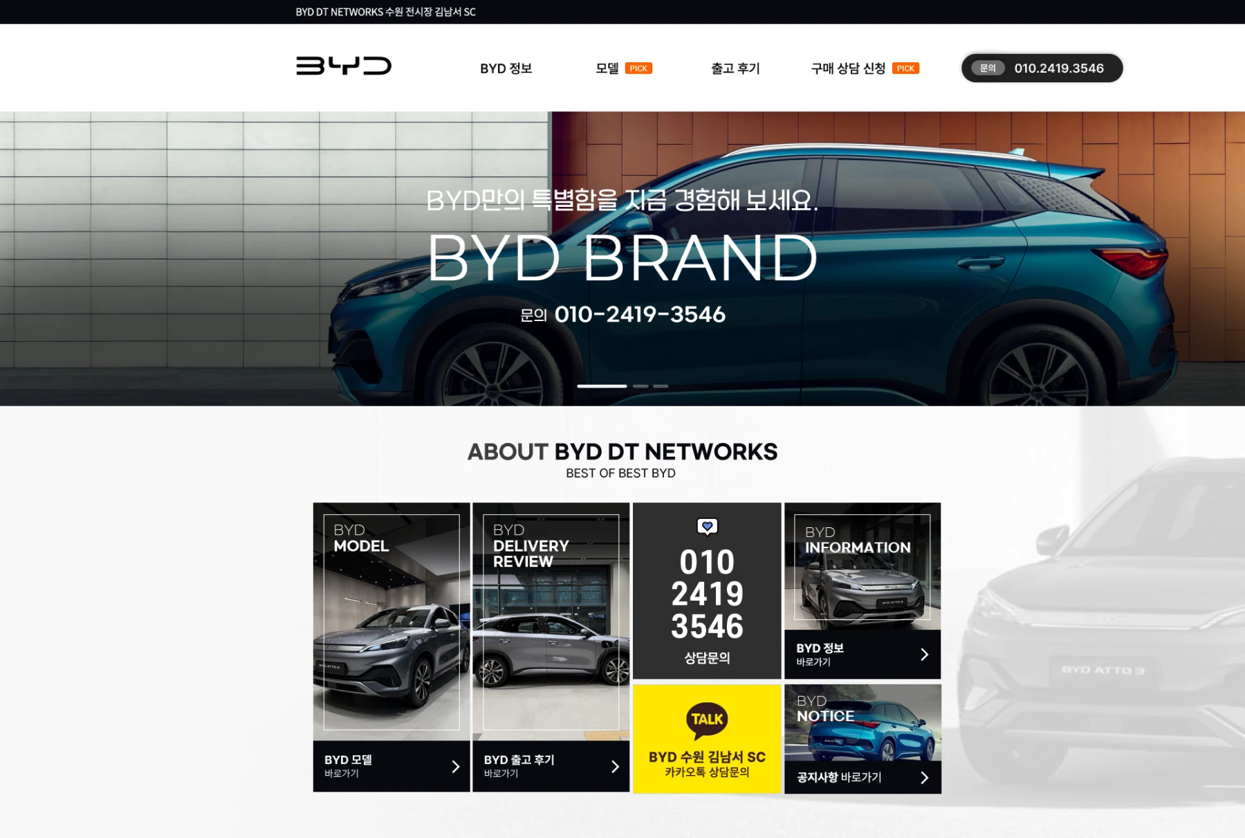 BYD 스킨디자인